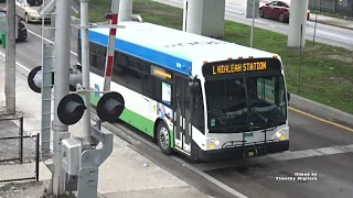 Buses in Miami, Florida, USA 2021