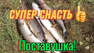 Универсальный, уловистый монтаж. Поставушка! #рыбалка #fishing #поставушка #супер монтаж #жерлица