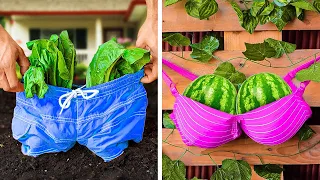 Inventive Ways to Grow Exotic Plants And Fruits in Your Garden 🌱🌹🍉🍈