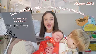 How to Buy a Reborn Doll and NOT Get SCAMMED | Vlogmas WK 1