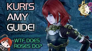 SoulCalibur 6: Kuri's Guide to Amy! (+Rose Perception Mechanic Explained!)