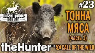 theHunter call of the wild #23 🔫 - Тонна Мяса (часть 1) - Арбалет, Револьвер - Кабан, Лиса, Косуля