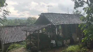 Heavy rain poured down on the beautiful Indonesian village of Margomulyo