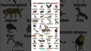 Zoo Animals Names #vocabulary#English with Maryam