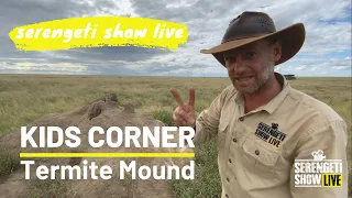 KIDS CORNER - Termite Mound