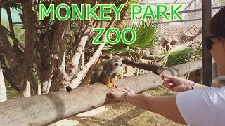 ❤️ Monkey Park Zoo Tenerife