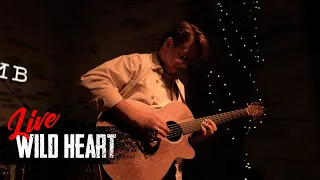 Wild Heart ~ Yuri Polezhaev | Live in Archiv