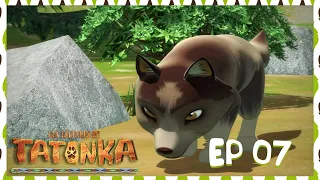 Tatonka en français 🐺 Du flair pour le danger 🐺 Dessin animé de loups