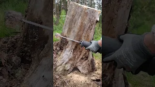 Cutting wood with a sawzall