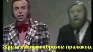 Йожин С Бажин. Победитель Евровидения 78 годаXDDD.flv