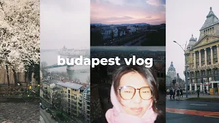 путешествую одна по будапешту | vlog