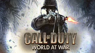 Установка и запуск Call of Duty World at War в Linux.