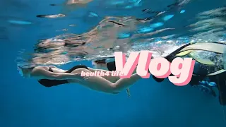 #55. 수영못함. 물공포증극복!! 프리다이빙배우기