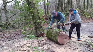 Petit plus de quand on était au bois