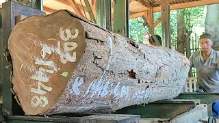 process of sawing sealed dry teak wood as 7×14 beam material