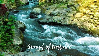 Beautiful relaxing stream sounds to calm your nerves, Sound of Nature