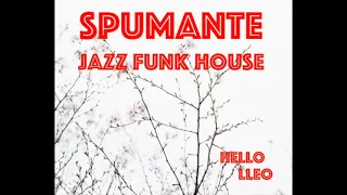 jazzy funk house (mixed by dj. lleo)