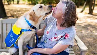 Team Training Intros | South Central Region| April 19, 2024 | Canine Companions