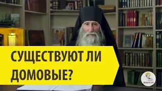 Существуют ли ДОМОВЫЕ? Инок Киприан (Бурков).