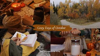 Cozy Days of October 🕯️🍁| Making Butter 🧈 | Autumn Picnic 🧺🍂