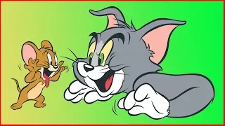Том и Джерри #9 ПОЙМАЙ ЕСЛИ СМОЖЕШЬ Обхитрили всех котов,мышонок убегает от котика как мышка воришка