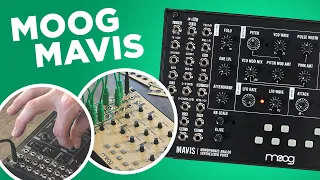 Moog Mavis Semi Modular Analog Synthesizer Voice : DIY Standalone Synth + Eurorack Module