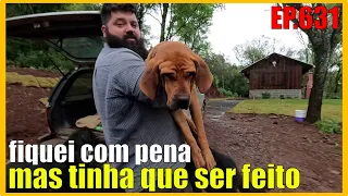 levamos a madona no veterinário