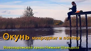 Окунь/ Микроджиг/ поппер