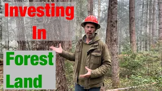 Why I Like Investing in Forest Land. Bare Land and Timber