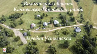 Деревня Устьенская (Кичменгско-Городецкий район)