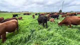 Ben Discusses a Strategy to Stockpile Forage for Winter