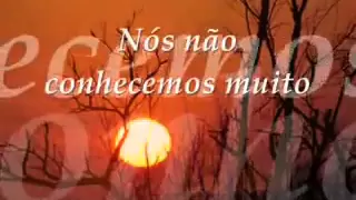 David Gates-take me now-tradução