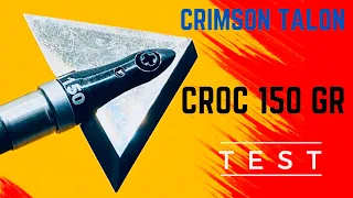 CRIMSON TALON CROC 150 gr Broadhead Test—High Performance & Low Price