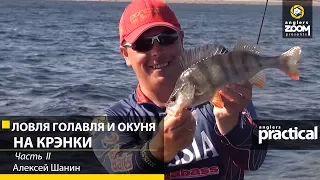 Алексей Шанин. Ловля голавля и окуня на крэнки. 2 часть. Anglers Practical