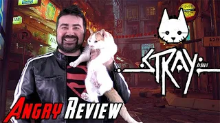 Stray - Angry Review