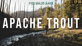 HUNTING FOR ARIZONA'S RAREST TROUT || For Wild's Sake: The Rare Trout Chronicles | Episode 6