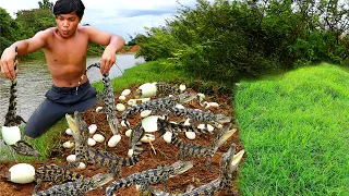 Man three dog met baby crocodile and eggs | cook chicken with eggs crocodile - Eating delicious