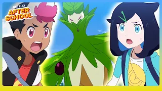 Liko & Roy's Encounter with Arboliva 🌳✨ Pokémon Horizons: The Series | Netflix After School