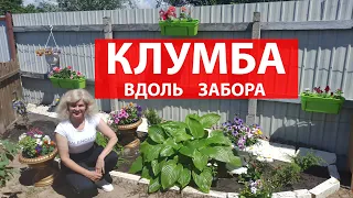 Что посадить под забором  Клумба своими руками