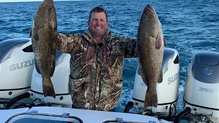 1400 Horses and a boat full of Grouper!!! {Catch Clean Cook} Pan seared Grouper Fillet!!!