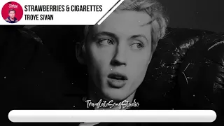 แปลเพลง Strawberries And Cigarettes - Troye Sivan