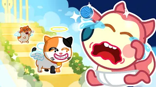 Oh No 😓 Don't go ! The Rainbow Bridge Song|Funny Kids Songs 🎶 Woa Baby Songs