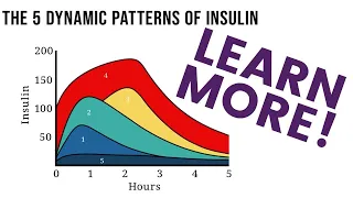 Stages of Insulin Resistance Explained – The Kraft Test