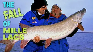 The RISE And FALL Of MILLE LACS MUSKIES - What MAY Have Happened??