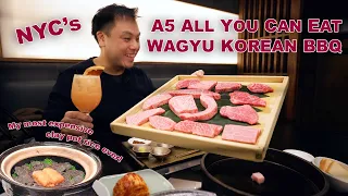 BEST Unlimited A5 Wagyu BBQ in NYC and the Most Expensive Clay Pot Rice I've ever tried...