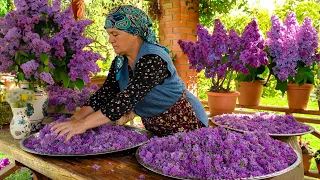 🌸 Fresh Spring Lilacs Picking: How to Preserve the Scent of Spring 🌿