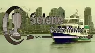 2008 Selene 53 Ocean Trawler $795,000