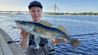 Набережна РОЗДАЄ судаків. Вечірня ловля судака в центрі Києва