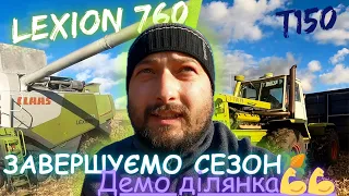 Демо ділянка кукурудзи‼️