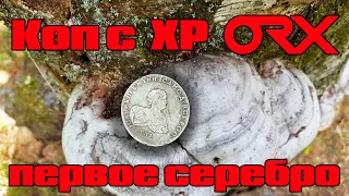 XP ORX катушка x35 22,5 (9"). Поиск монет в лесу. Серебряная монета. XP ORX x35 22,5 (9") coil.
